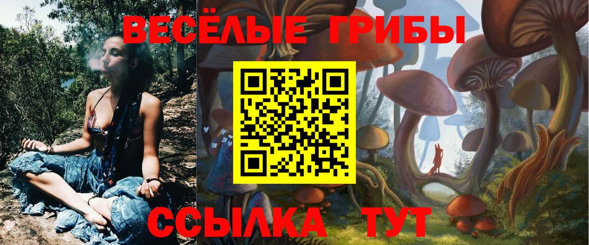 Гагарин  где найти наркотики  Вход с VPN  Псилоцибиновые грибы мицелий 